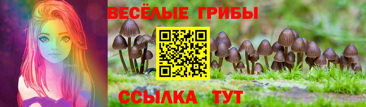 Электрогорск  Галлюциногенные грибы Psilocybine cubensis  Вход с VPN 